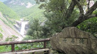 濃い緑の森の中の滝