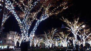 みなと大通り公園イルミネーション