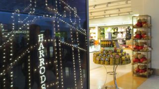 初のターミナル４