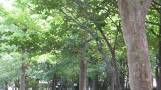 散策するのにいい