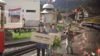 高山植物の聖地！