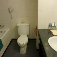 シャワーは可動式