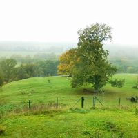 自然動物園（1571年）