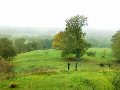 ホテル ドルンレッシェンシュロス サバブルク (いばら姫の城) 写真