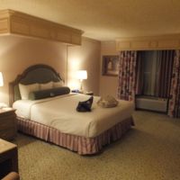 シンプルな内装