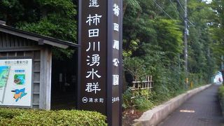 町中にある美しい湧水