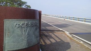 ここからもマングローブを「名蔵大橋」～石垣～