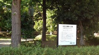 川とジョギング…