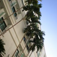 中庭の別アングルです