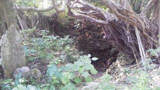 新里村遺跡の脇「花城井戸」～竹富～