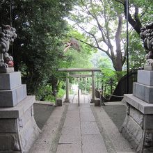 神社への道