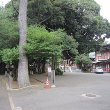 お寺側からの入口