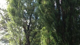 奥まで行けず残念