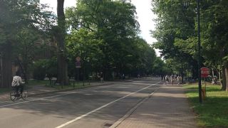 広くて羨ましい