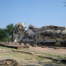 野中の大仏さん