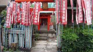 隅田川畔の小さな神社ですが可愛らしい石蛙が待ってま～す。