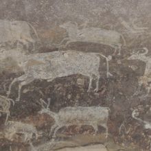 たくさんの動物が描かれていて楽しいです