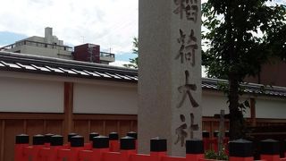 赤さが際立ちます