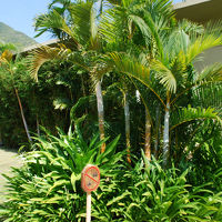 きれいに整備されたガーデン