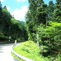 川口湖畔から富士山五合目に至る有料道路で、緑が美しく、南アルプスが望める快適なドライブウエイです。