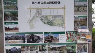 市民の広場です