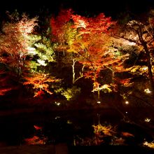 臥竜池は鏡池となり紅葉を映し出します
