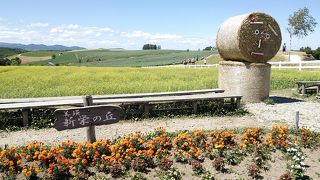 美瑛と言えば...とも言えるスポット