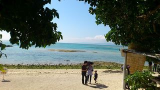 綺麗な星砂はなかなか見つからない。