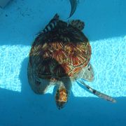 無料の水族館