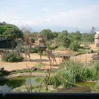 ホテルのフロントを出た先から中庭を望む