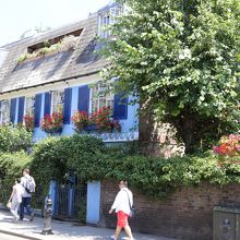 こんな風景の中を歩きます