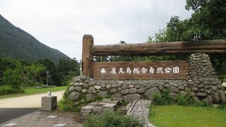 のどかな公園