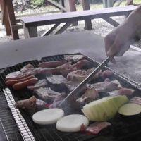 バーベキューです