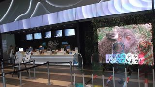 みなとみらいの新しいスポット