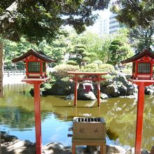 池には弁財天も祀られています。