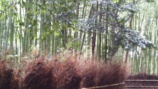 間違ったかな？どこだろう・・・