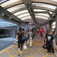 登り口、この辺りはなだらか