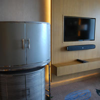 テレビはＳＯＮＹ♪