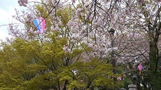 ４月は桜・６月はアジサイ・１１月は紅葉