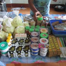 Enrobed Elephant Temple