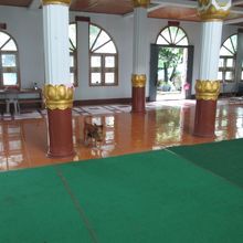 Enrobed Elephant Temple