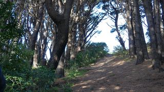 いろいろなツアーがあります