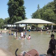 夏は水遊び