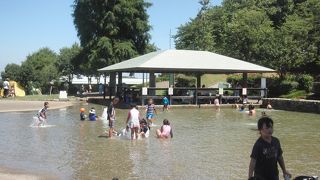 夏は水遊び