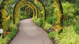 花が咲き乱れてますが・・・