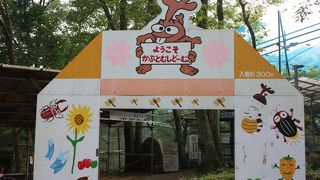 リフレッシュパーク市川キャンプ場