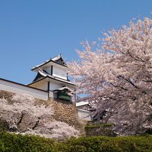 桜との相性バッチリですね