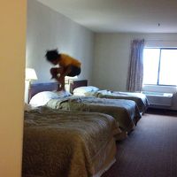 案の定アスレチック化してしまった。ホテルの方、ごめんなさいっ