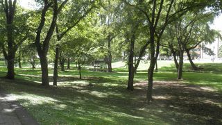 日蔭の多い緑地がある