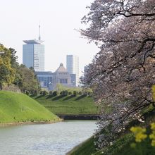 半蔵門壕から見た国会議事堂